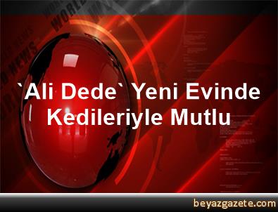 Ali dede yeni evinde kedileriyle mutlu Ali dede yeni evinde kedileriyle mutlu