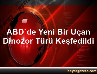 ABDde yeni bir uçan dinozor türü keşfedildi ABDde yeni bir uçan dinozor türü keşfedildi