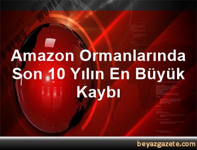 Amazon ormanlarında son 10 yılın en büyük kaybı: 7 bin 900 kilometrekarelik alan tahrip edildi Amazon ormanlarında son 10 yılın en büyük kaybı: 7 bin 900 kilometrekarelik alan tahrip edildi
