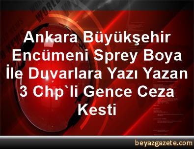 Ankara Buyuksehir Encumeni Sprey Boya Ile Duvarlara Yazi Yazan 3 Chp Li Gence Ceza Kesti Ankara