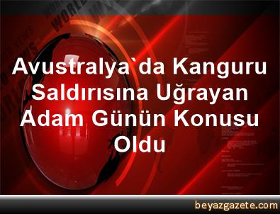 Avustralyada kanguru saldırısına uğrayan adam günün konusu oldu Avustralyada kanguru saldırısına uğrayan adam günün konusu oldu
