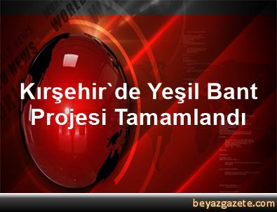 3m 764 I Vinil Bant Yesil 50mmx33m Fiyati Taksit Secenekleri