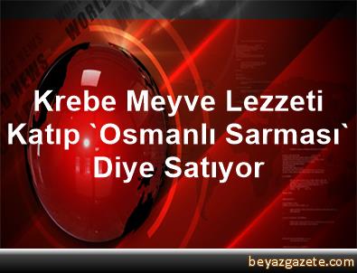 Visneli Osmanli Usulu Yaprak Sarma Nefis Yemek Tarifleri