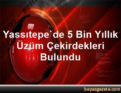 5 bin yıllık üzüm çekirdekleri bulundu 5 bin yıllık üzüm çekirdekleri bulundu