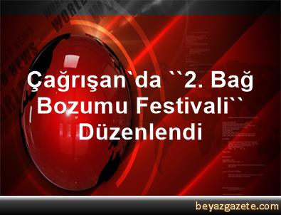 Cagrisan Da 2 Bag Bozumu Festivali Duzenlendi Bursa Iline Bagli Mudanya Ilcesi