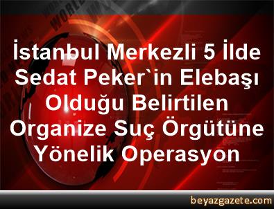 İstanbul Merkezli 5 İlde, Sedat Peker'in Elebaşı Olduğu ...