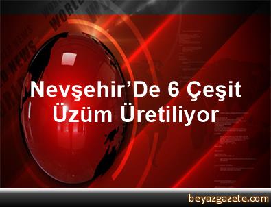 Nevşehir'De 6 Çeşit Üzüm Üretiliyor - Nevşehir