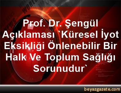 Prof Dr Sengul Aciklamasi Kuresel Iyot Eksikligi Onlenebilir Bir Halk Ve Toplum Sagligi Sorunudur Giresun