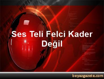 Ses Teli Felci Kader Degil Diyarbakir Iline Bagli Dicle Ilcesi