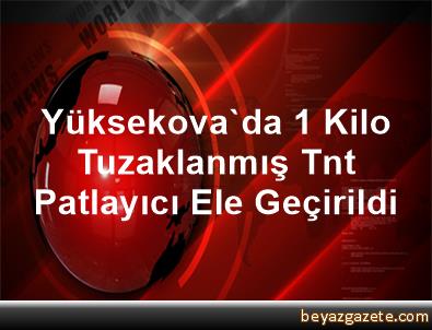 Yuksekova Da 1 Kilo Tuzaklanmis Tnt Patlayici Ele Gecirildi Hakkari